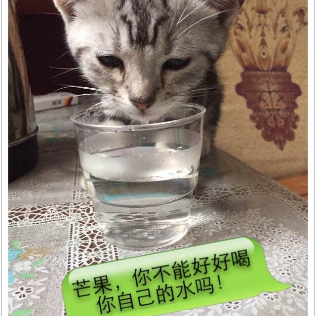 日本金泽星棱大学学历认证